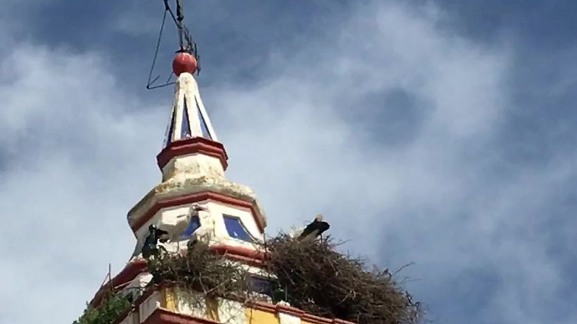 Störche auf dem Kirchturm in Castilblanco de los Arroyos.